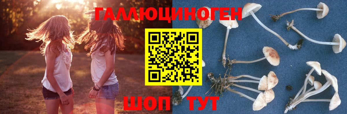 Галлюциногенные грибы прущие грибы  Вход с VPN  Киржач  Галлюциногенные грибы Psilocybine cubensis 